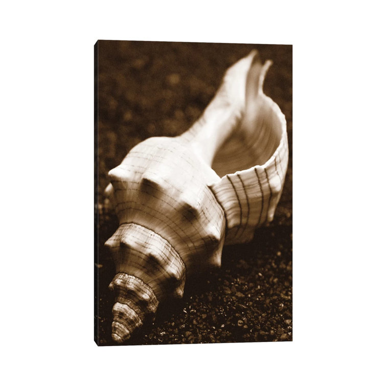 House of Hampton Sea Gallery III by Boyce Watt Wrapped Canvas